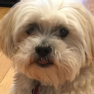 Meet your Posher, Madeleine